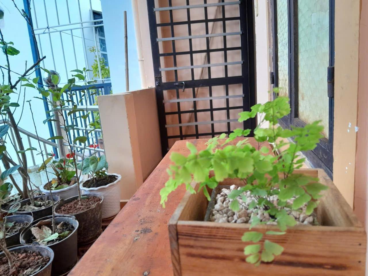 Thuy An Homestay Da Lat Zewnętrze zdjęcie